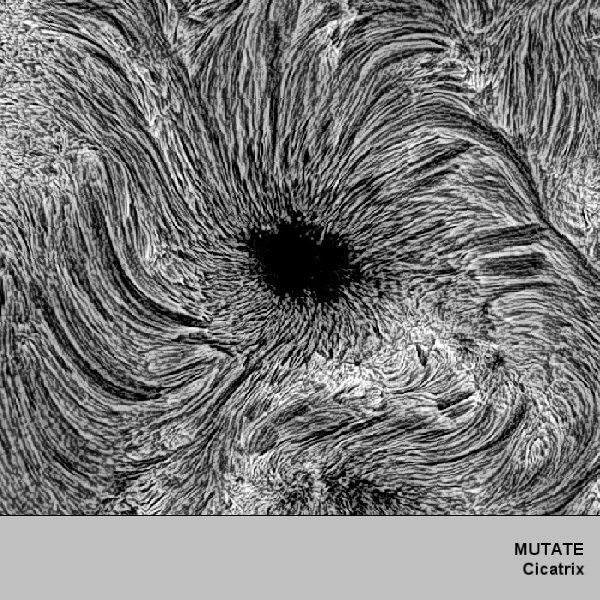 Click to download CICATRIX Click to download CICATRIX