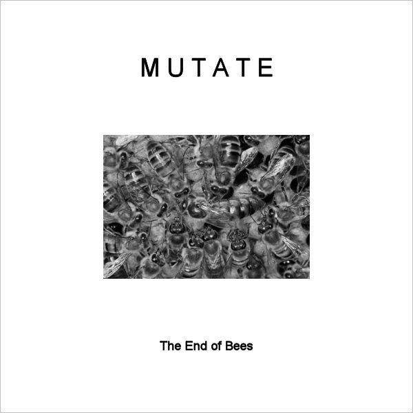 Click to download The End of Bees Click to download The End of Bees